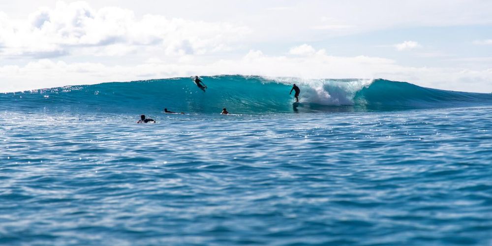 wave height forecast